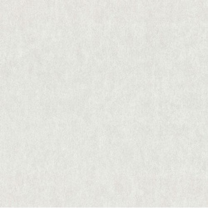 Vliesové tapety, štruktúrovaná biela, Dieter Bohlen Spotlight 242270, P+S International, rozmer 10,05 m x 0,53 m