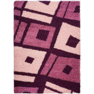 Kusový koberec Shaggy Biagio fialový, Velikosti 120x170cm