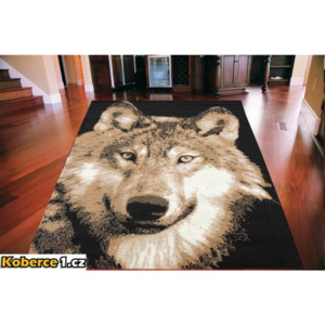 Kusový koberec PP Vlk sivý, Velikosti 160x225cm
