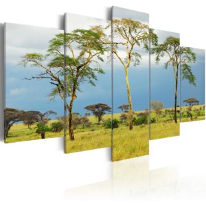 Obraz - African greenery 200x100