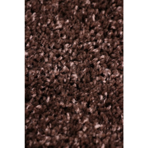 Kusový koberec Shaggy vlas 30mm Fiono hnědý, Velikosti 60x100cm