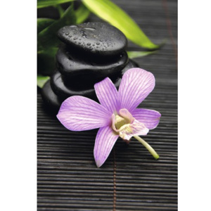 Plagát Zen Flower 61x91,5 cm