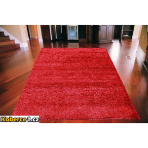 Kusový koberec Shaggy Duo polyester červený 200x280, Velikosti 200x280cm