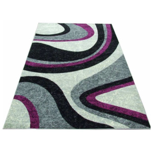 Kusový koberec PP Filipa fialový, Velikosti 80x150cm