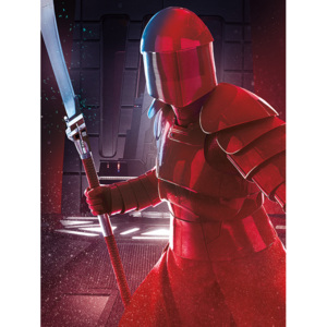 Obraz na plátne Star Wars: Poslední Jediovia - Elite Guard Blade, (60 x 80 cm)