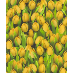 Vinylové tapety, tulipány žlté, Allure 416730, IMPOL TRADE, rozmer 10,05 m x 0,53 m