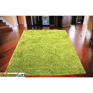 Kusový koberec Shaggy vlas 50mm zelený X-L 160x220, Velikosti 160x220cm