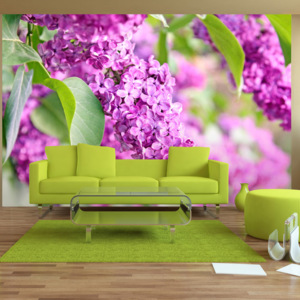 Fototapeta - Lilac flowers 100x70 cm