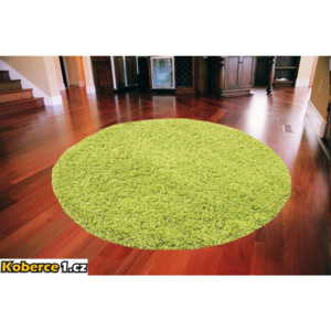 Kusový koberec Shaggy vlas 50mm zelený kruh 120x120, Velikosti 120x120cm