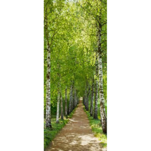 Fototapeta, rozmer 92 cm x 220 cm, brezy, KOMAR 2-1717