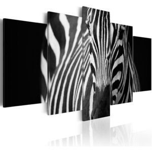 Obraz - Zebra look 200x100