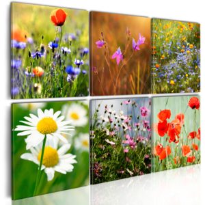 Obraz - One thousand colors meadow 60x40