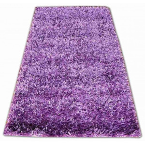 Kusový koberec Shaggy vlas 45 mm fialový, Velikosti 80x150cm