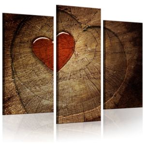 Obraz - Old love does not rust - triptych