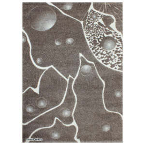 Luxusný koberec Pierre Cardin Kosmo hnedý, Velikosti 160x230cm