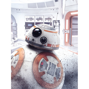 Obraz na plátne Star Wars: Poslední Jediovia - BB-8 Peek, (60 x 80 cm)