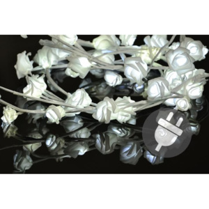 Dekoratívne LED osvetlenie – ruža – 48 LED, studená biela