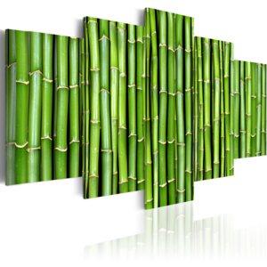 Obraz - Bamboo- harmony and simplicity