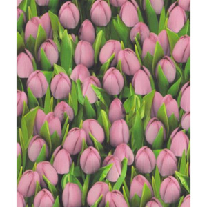 Vinylové tapety, tulipány ružové, Allure 416723, IMPOL TRADE, rozmer 10,05 m x 0,53 m
