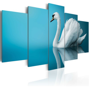 Obraz - A swan in blue 200x100
