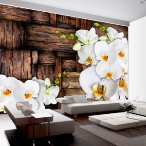 Fototapeta - Blooming orchids 100x70 cm