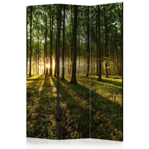 Paraván - Morning in the Forest [Room Dividers] 135x172