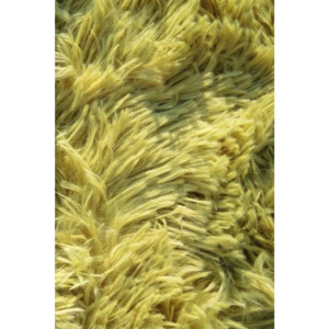 Kusový koberec Shaggy Plus zelený, Velikosti 120x170cm