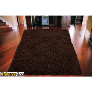 *Kusový koberec Shaggy vlas 50mm tmavo hnedý, Velikosti 80x150cm