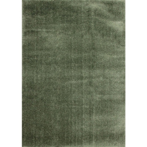 Luxusný kusový koberec Lineas zelený, Velikosti 80x150cm