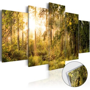 Obraz na akrylátovom skle - Magic of Forest [Glass] 100x50