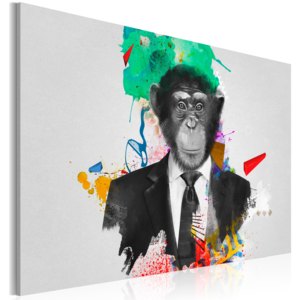 Obraz - Mr Monkey 60x40