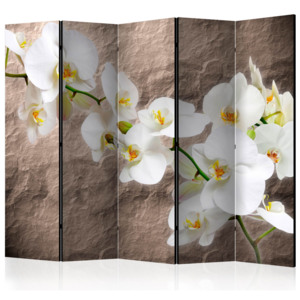 Paraván - Impeccability of the Orchid II [Room Dividers] 225x172