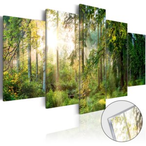 Obraz na akrylátovom skle - Green Sanctuary [Glass] 100x50