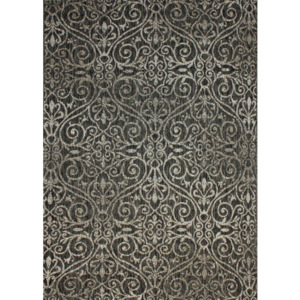 Kusový koberec Dion šedý 2, Velikosti 80x150cm