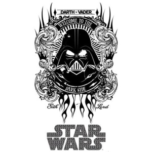 Samolepky, rozmer 90 x 160 cm, Star Wars Darth Vader SPLB82TS, IMPOL TRADE