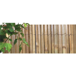 Bambusová rohož 1,5x3 m, štiepaný a lakovaný