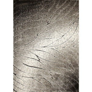 Luxusný kusový koberec Liku šedý, Velikosti 120x170cm