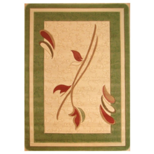 Kusový koberec Antal zelený, Velikosti 170x250cm