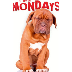 Fotoobraz - Aj Hate Mondays