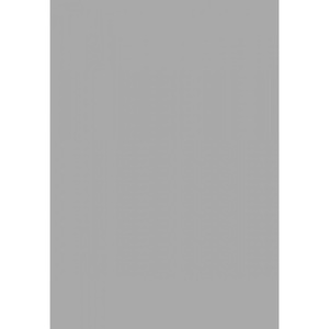 Kusový koberec Shaggy Alberto šedý 2, Velikosti 80x150cm