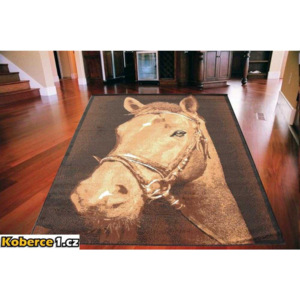 Kusový koberec PP Kôň hnedý, Velikosti 140x200cm