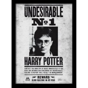 Rámovaný Obraz - Harry Potter - Undesirable No1