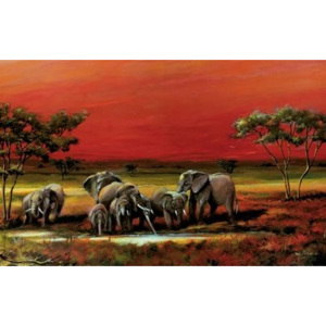 Fotoobraz - African style elephants