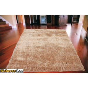 Kusový koberec Shaggy Poly champagne 120x170, Velikosti 120x170cm