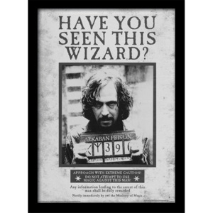 Rámovaný Obraz - Harry Potter - Sirius Wanted