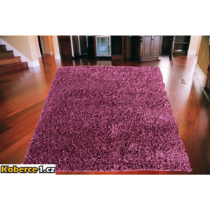 Kusový koberec Shaggy vlas 50mm fialový 80x150, Velikosti 80x150cm