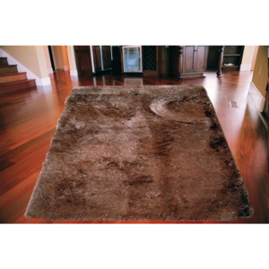 Kusový koberec Shaggy Plus hnedý 200x260, Velikosti 200x260cm