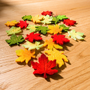 Magnet 3Pagen 12 dekoratívnych javorových listov