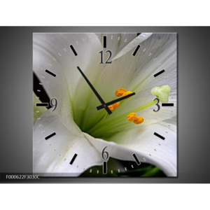 F000622F3030C Obraz a hodiny 2 v1 30 cm x 30 cm