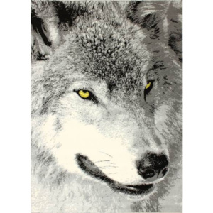 Kusový koberec PP Vlk sivý, Velikosti 160x225cm